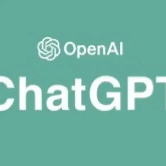 chat gpt (챗 gpt)