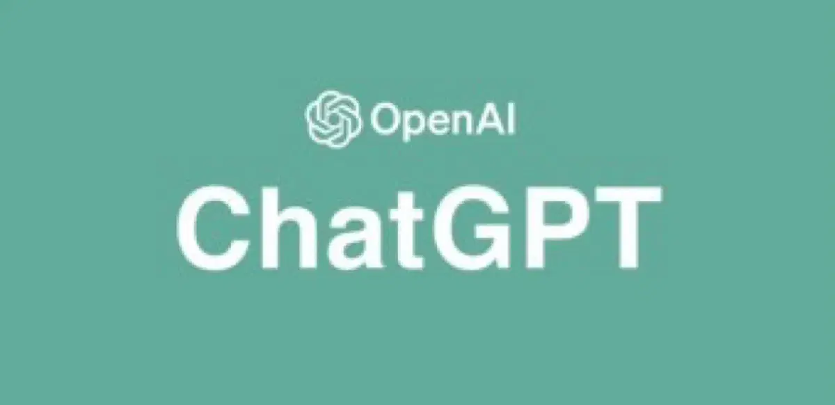 chat gpt (챗 gpt)