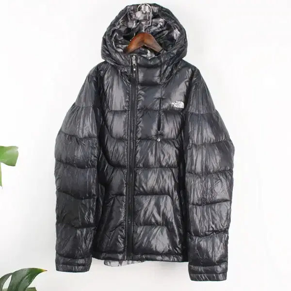 THE NORTH FACE compass 600 양면 구스다운