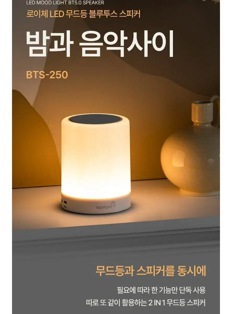 로이체 LED 블루투스 무드등