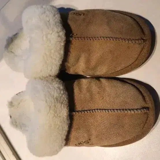 ugg scuffette 240