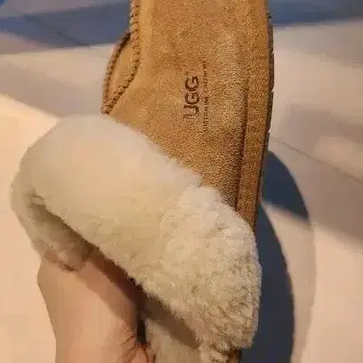 ugg scuffette 240