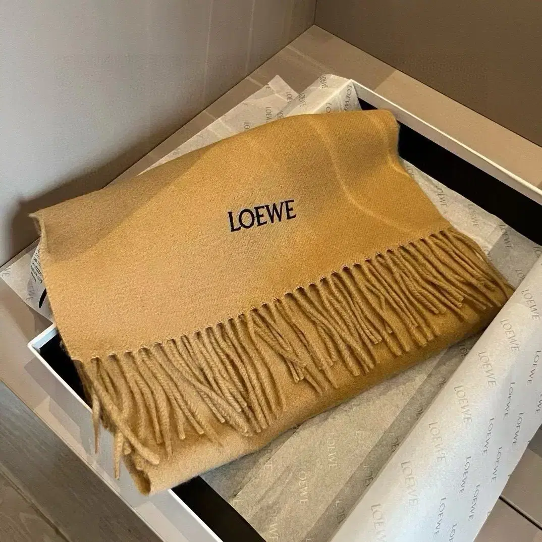 Loewe로에베 스카프