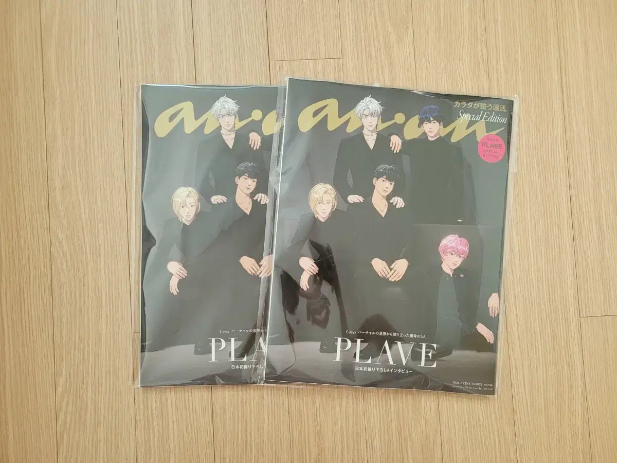 Plave En Ange Magazine sealed wts