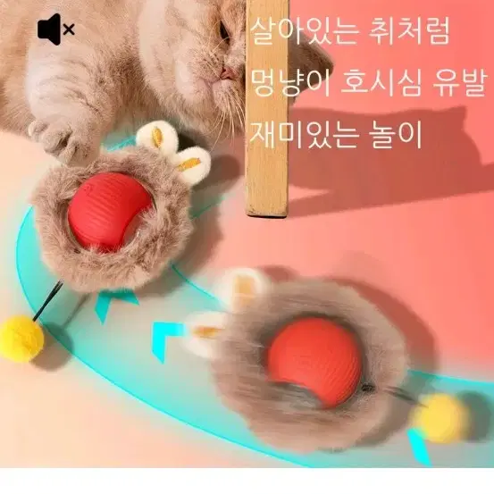 고양이 고양이  깃털 쥐잡기 스마트볼 자동장난감+크리스마스13종세트 증정