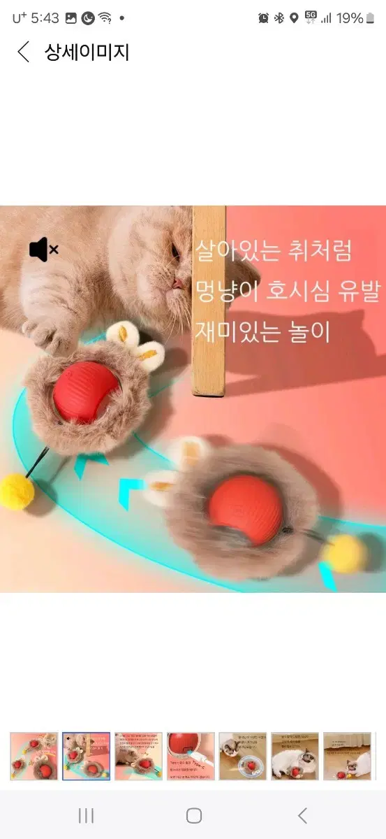 고양이 강아지  깃털 쥐잡기 스마트볼 자동장난감+크리스마스13종세트 증정