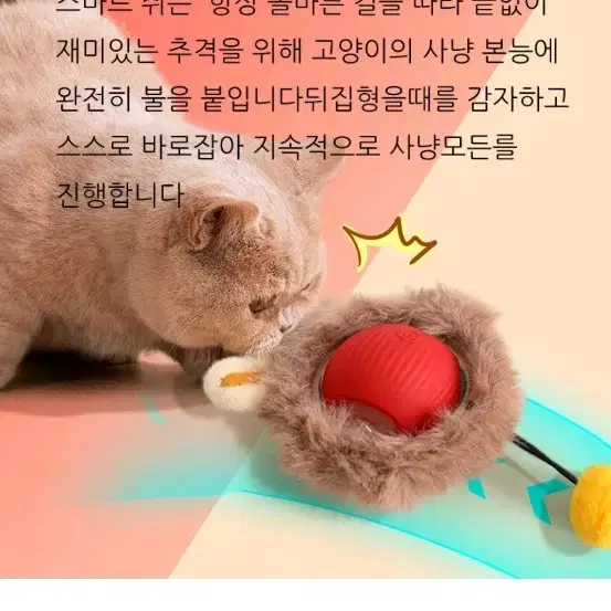 고양이 고양이  깃털 쥐잡기 스마트볼 자동장난감+크리스마스13종세트 증정