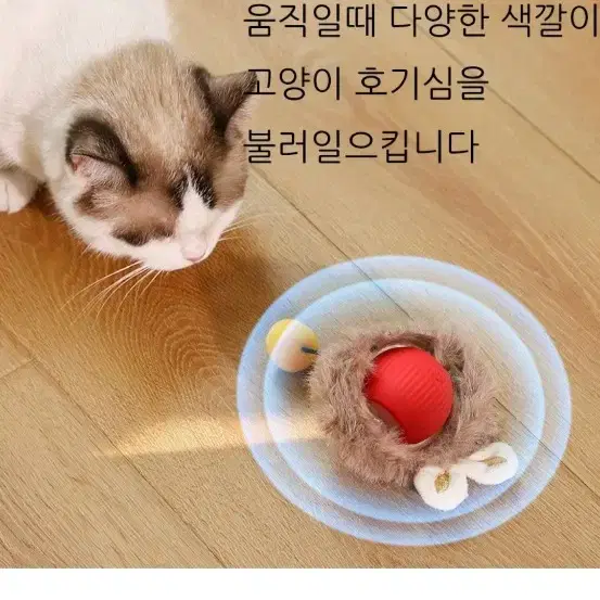 고양이 강아지  깃털 쥐잡기 스마트볼 자동장난감+크리스마스13종세트 증정