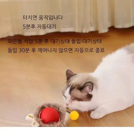 고양이 강아지  깃털 쥐잡기 스마트볼 자동장난감+크리스마스13종세트 증정