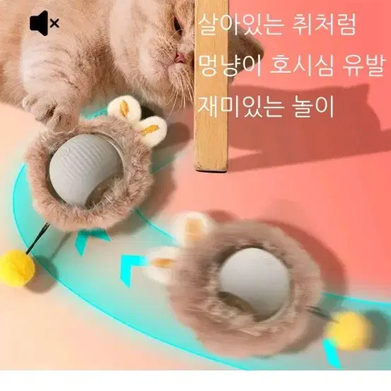 고양이 고양이  깃털 쥐잡기 스마트볼 자동장난감+크리스마스13종세트 증정