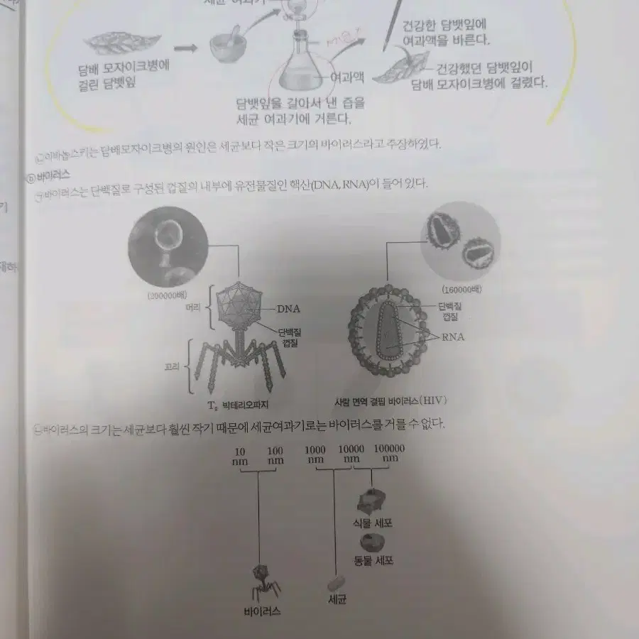 윤도영 exclusive final 2025  / 파이널 / 개념