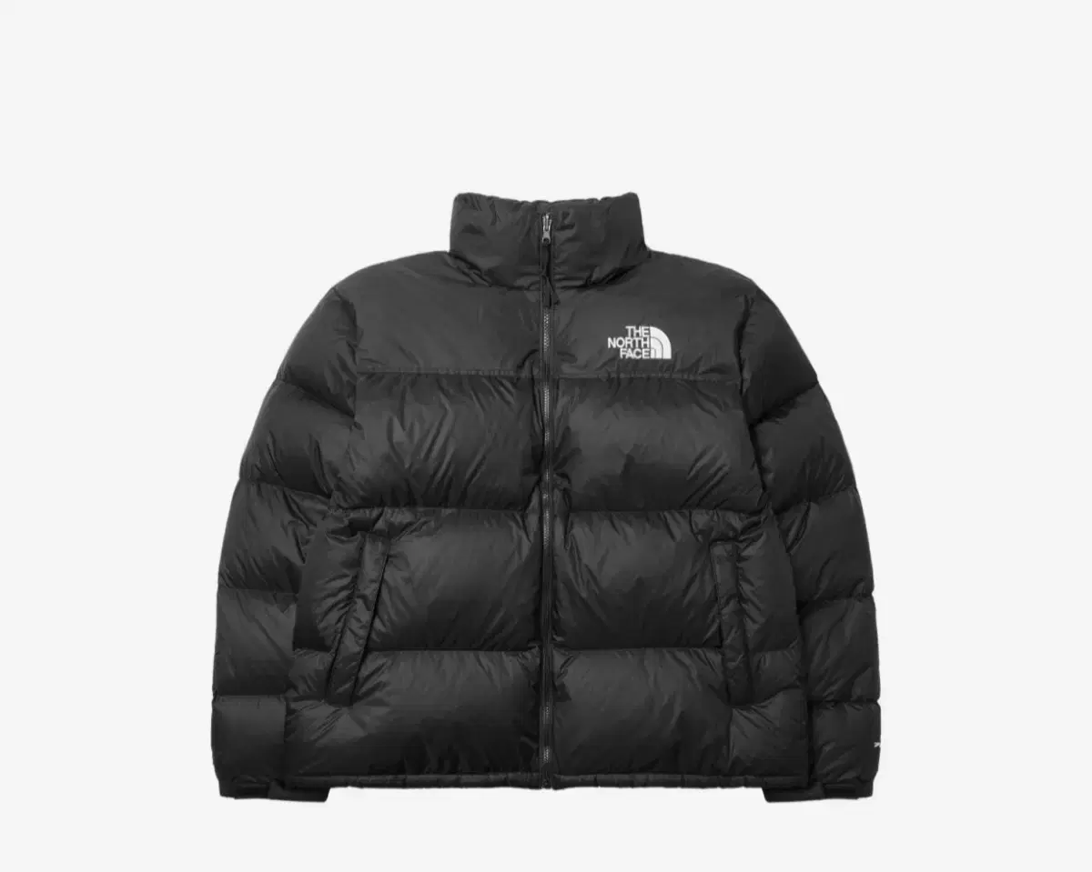 노스페이스 1996 레트로 눕시 다운 자켓 리사이클 TNF 블랙 XL