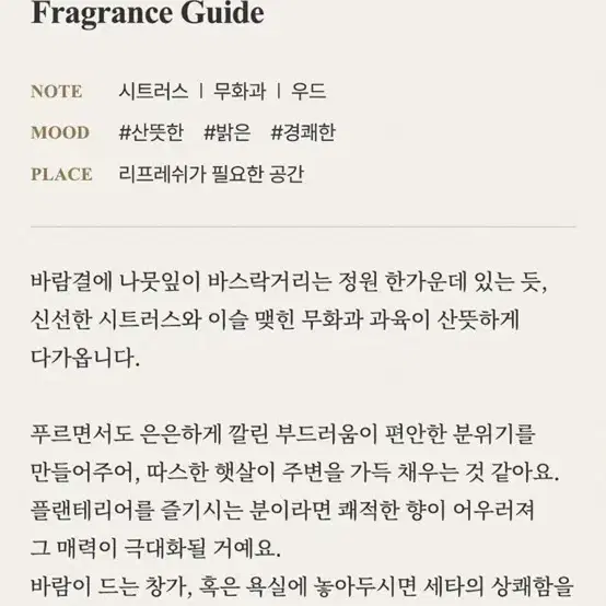 새상품) 안눈치아타 세타 디퓨져 100ml