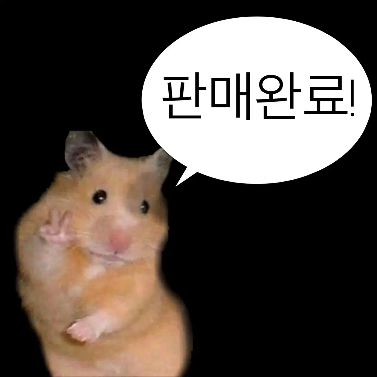 이창섭 부산콘 포카