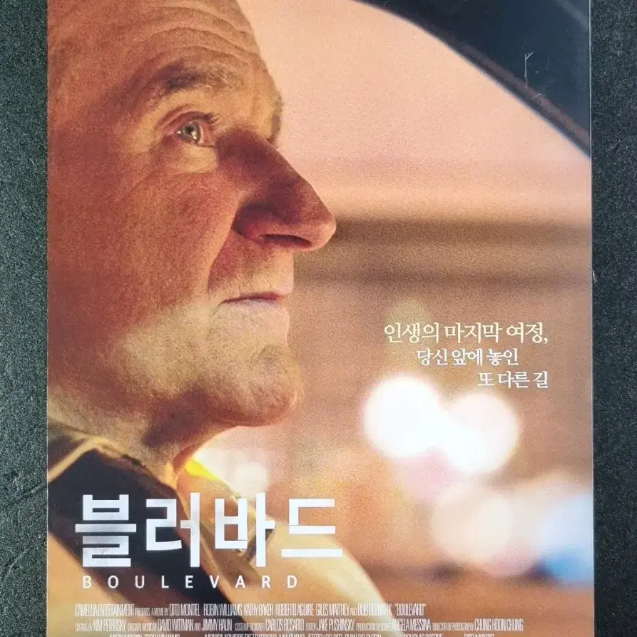 [영화팜플렛] 블러바드 (2015) 로빈윌리엄스 영화전단지