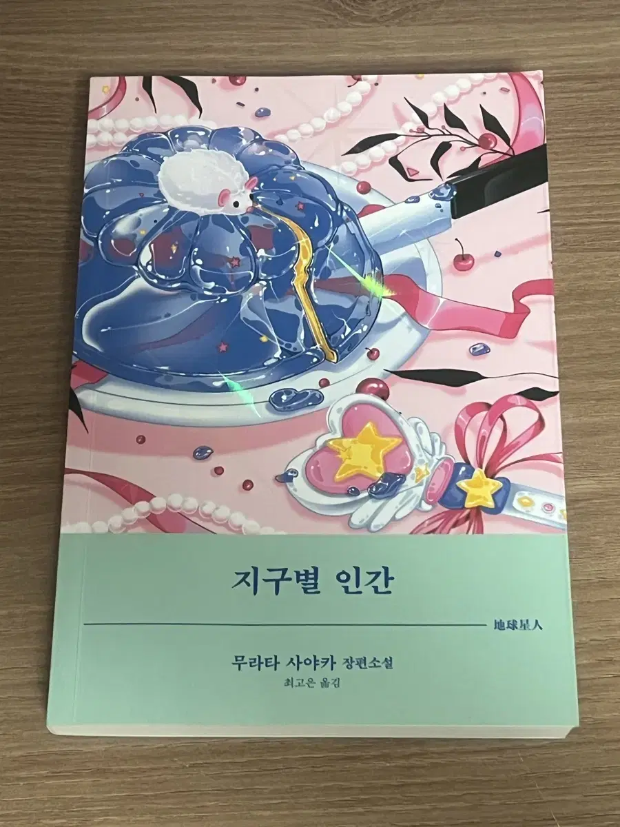 무라타 사야카 작가님의 <지구별 인간>