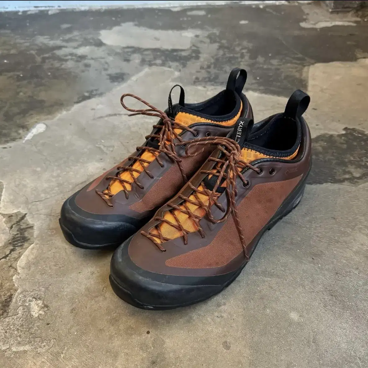 (10.5D) arcteryx arclux fl gtx