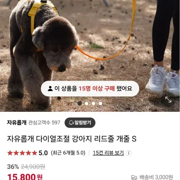 강아지 손목리드줄 자유롭개