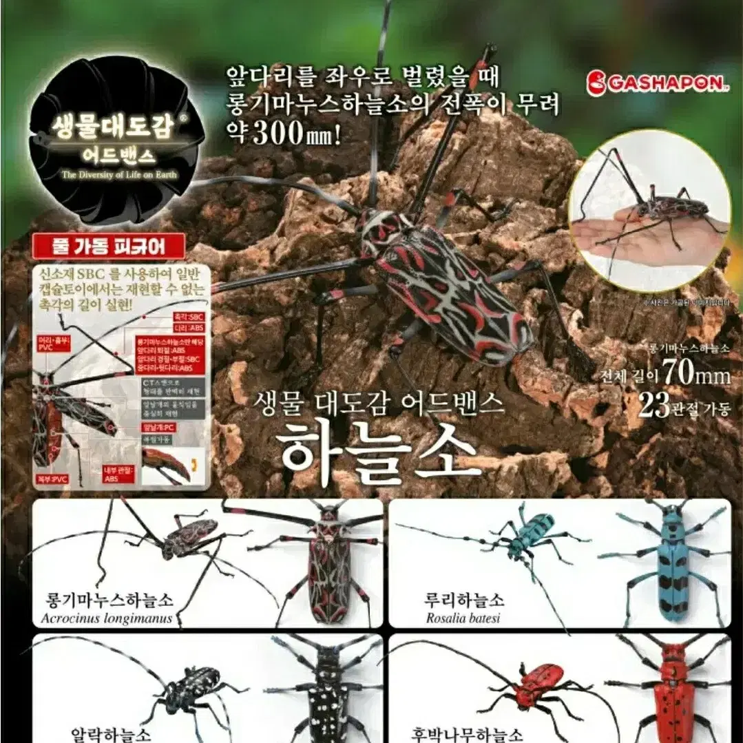 캡슐토이 가챠 생물대도감 어드밴스 하늘소 곤충 파충류 피규어 프라모델