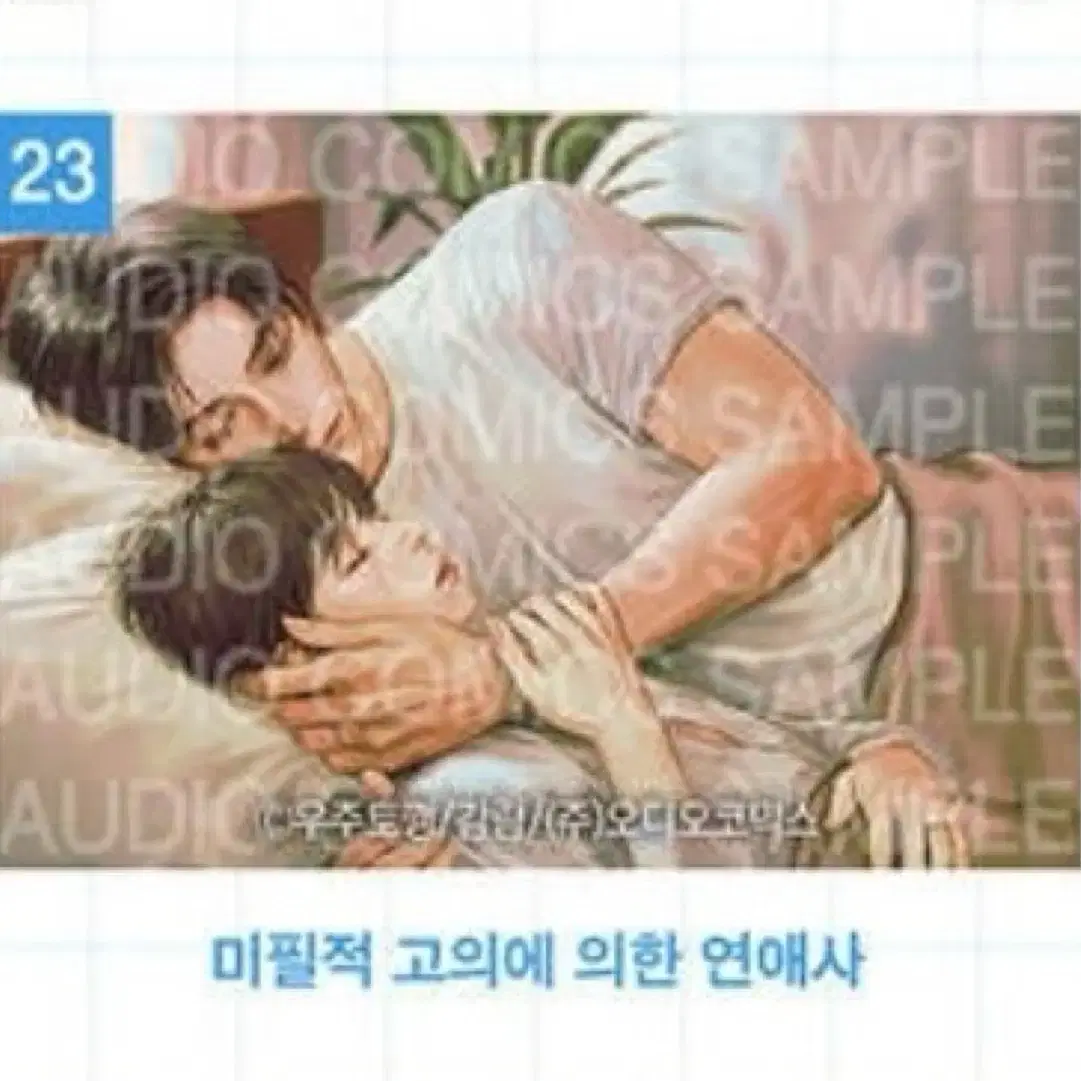 미필적 고의에 의한 연애사 미필고 담요 미개봉