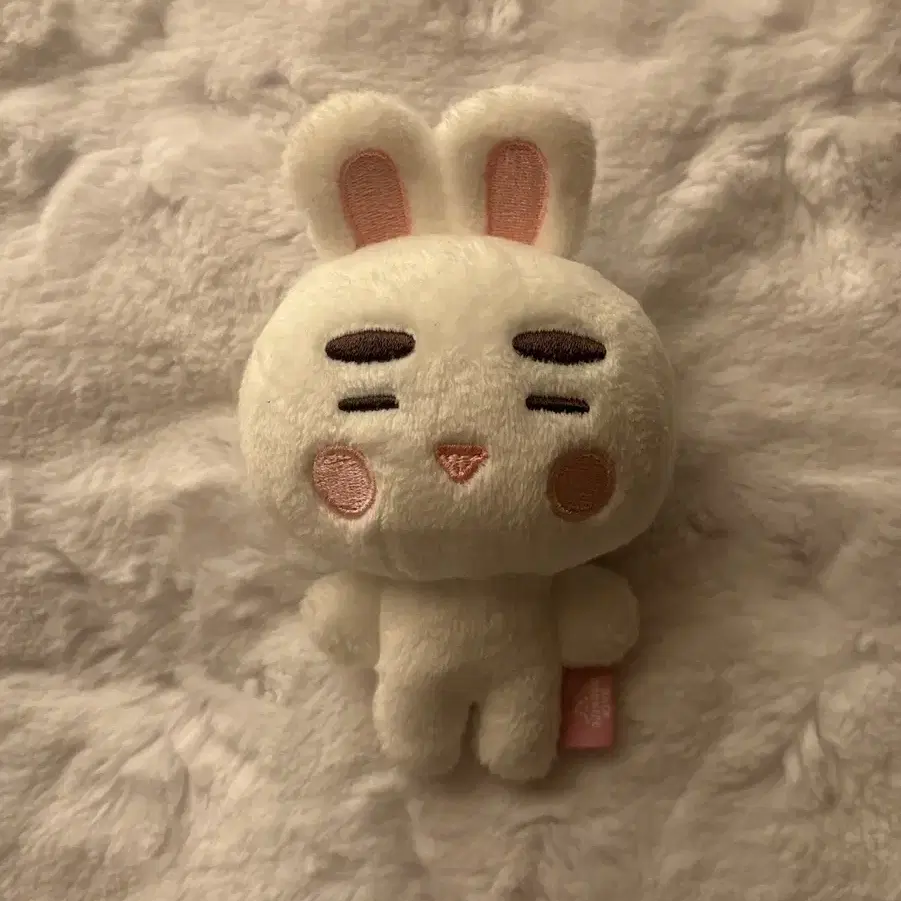 샤이니 온유 찡구왕 10cm 인형