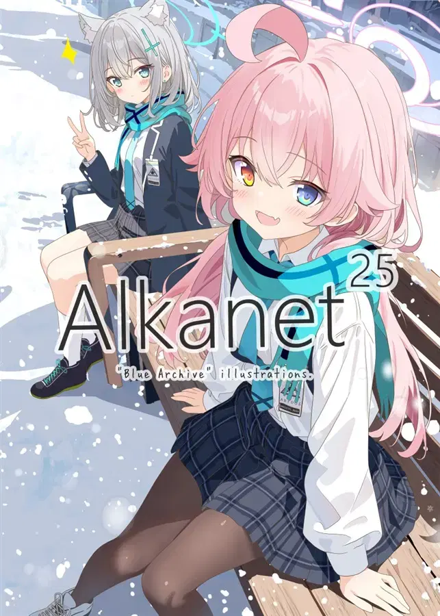 기간예약) 블루 아카이브 타카나시 호시노 일러집 Alkanet25