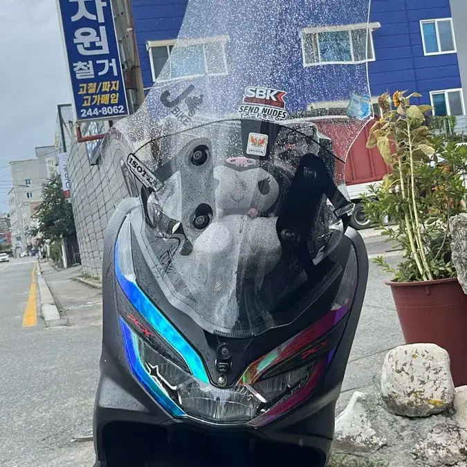 Pcx125 (오디오차량 대차)