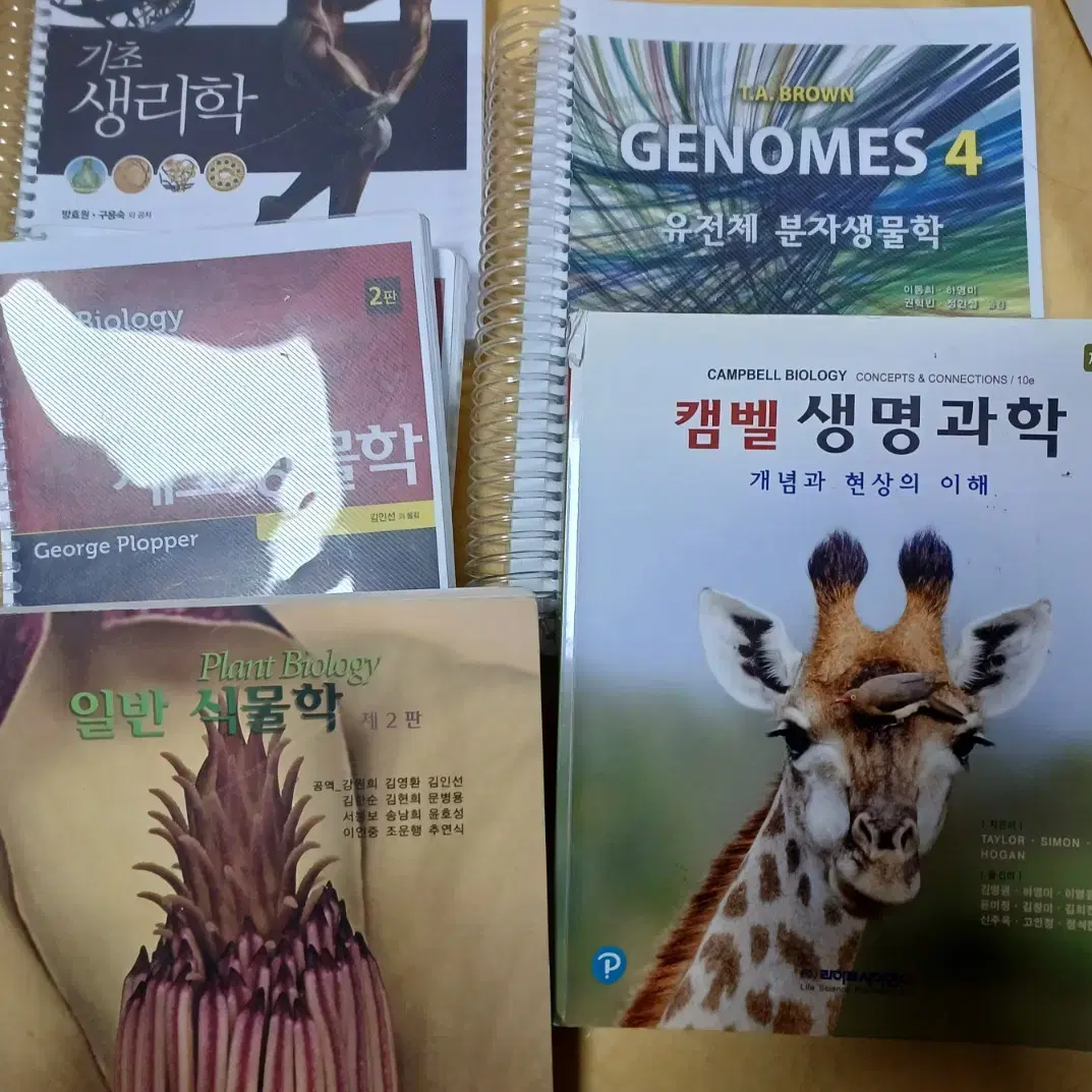 대학교재 기초생리학, plopper, genome 4, 일반식물학,캠벨