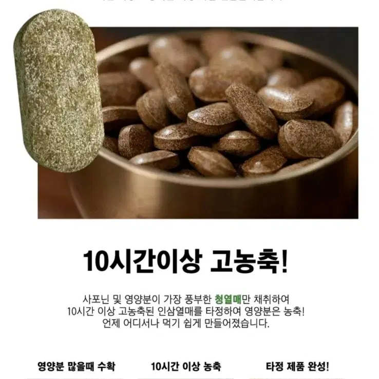 (새상품) 천년수작 진생베리R 인삼열매 사포닌 기력증진