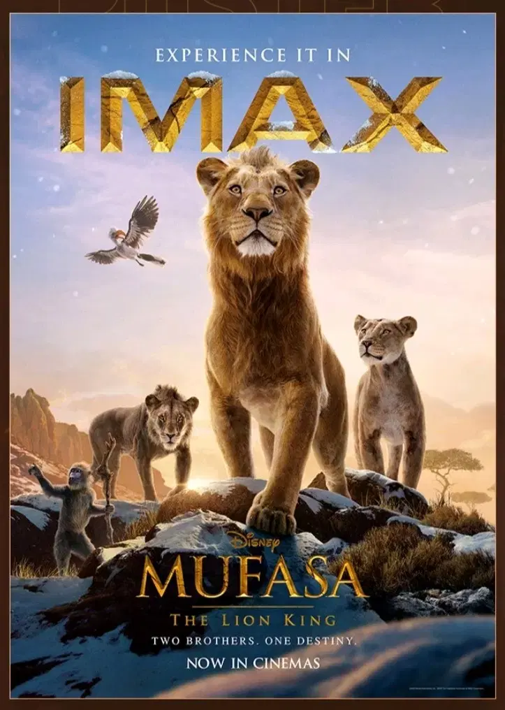 일괄) 무파사 아이맥스 imax 포스터+ttt