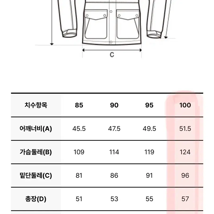 디스커버리 여성 헤이니 글로우 다운 (CREAM)