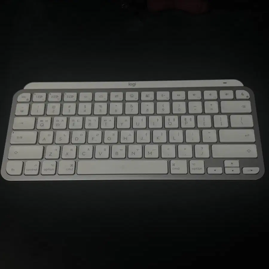 로지텍 mx keys mini