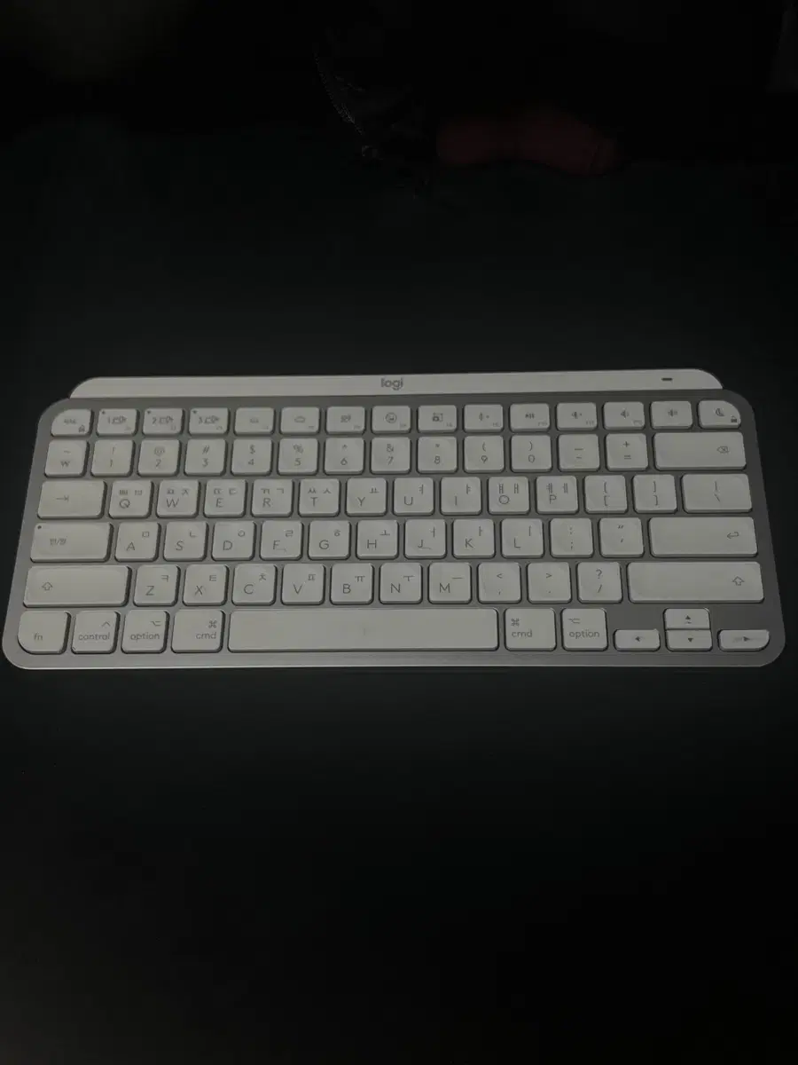 로지텍 mx keys mini