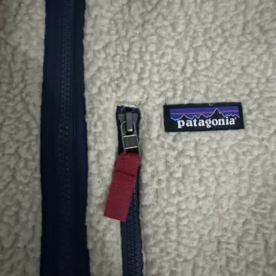 Patagonia Retro Pile Jacket