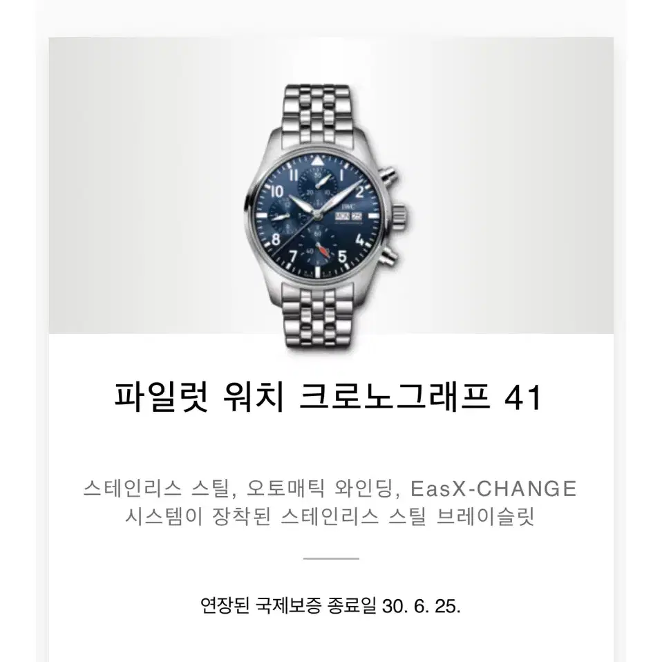 IWC 파일럿 크로노그래프 41 (청판)IW388102