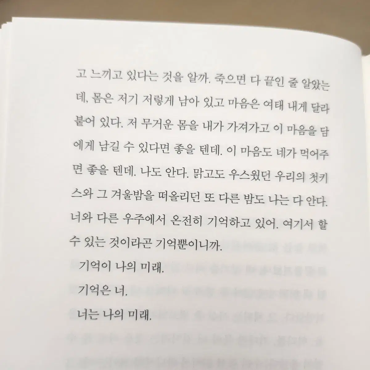 롯데시네마 영화예매 영화관람권 위키드 모아나 대가족