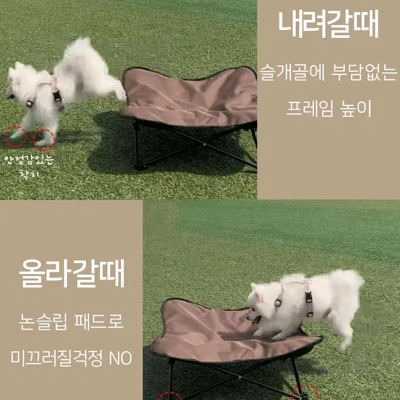 강아지 캠핑의자 L (강아지 M SIZE사용 ) 대형견 사용 가능 새상품