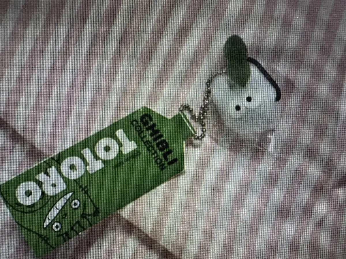 [Genuine Japanese] Sototoro keyring Totoro