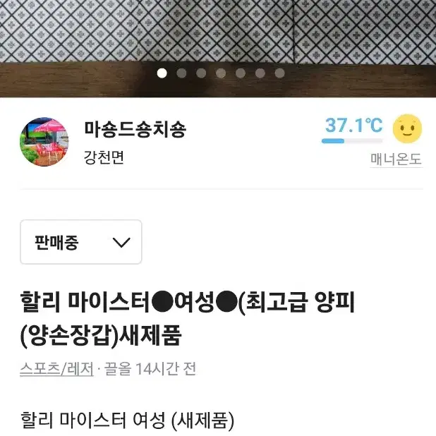 할리 마이스터(정품)여성 (양손장갑) 새제품