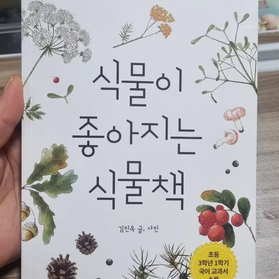 식물이 좋아지는책