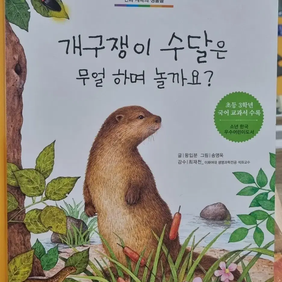 개구쟁이 수달은 무얼 하며 놀까요?