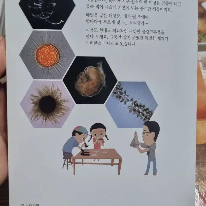 플랑크톤의비밀