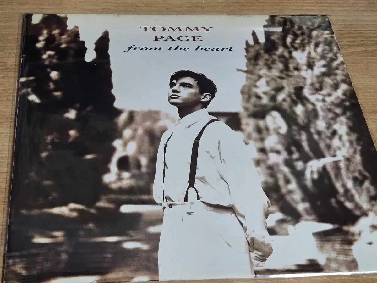 Tommy Page - From The Heart (LP)