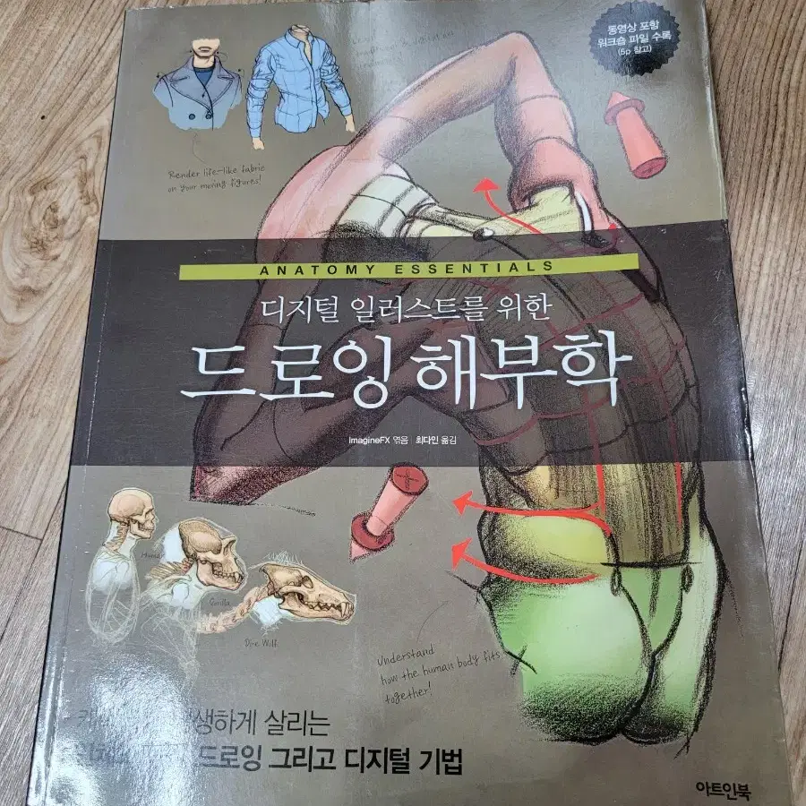 디지털 일러스트를 위한 드로잉 해부학