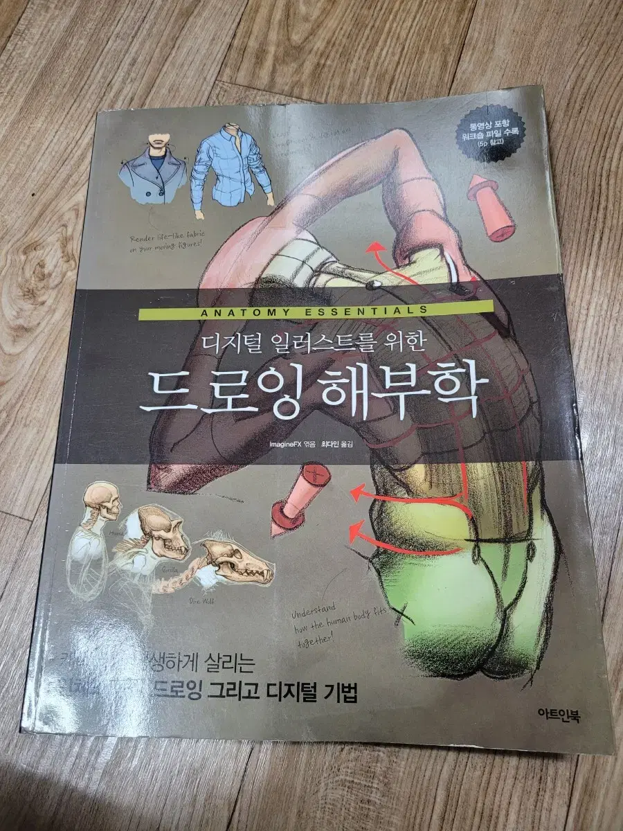 디지털 일러스트를 위한 드로잉 해부학