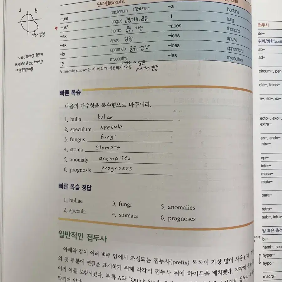 수문사 의학용어 보건의료 언어