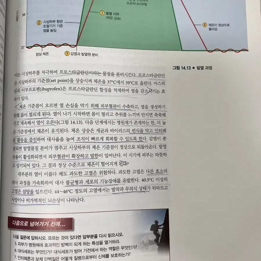 수문사 핵심 인체 구조와 기능