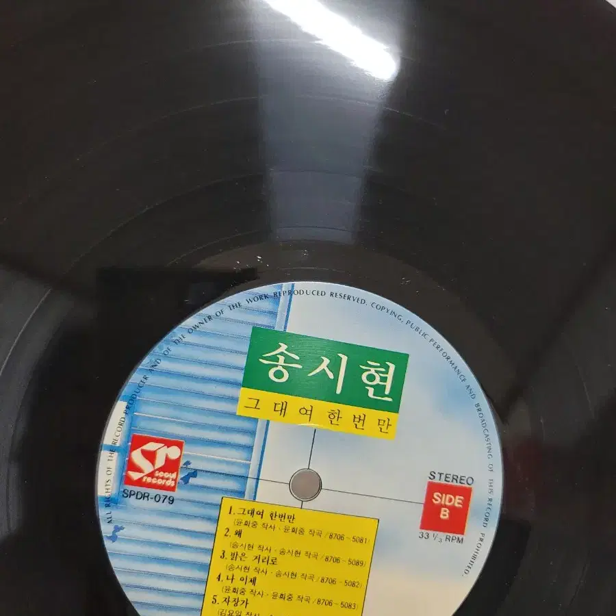 송시현 lp