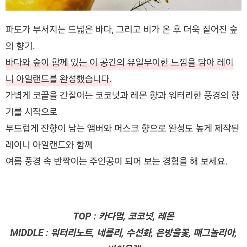 미개봉 세이리 텀블벅 한정판향수 레이니 아일랜드 오드퍼퓸 펀딩 유명향수