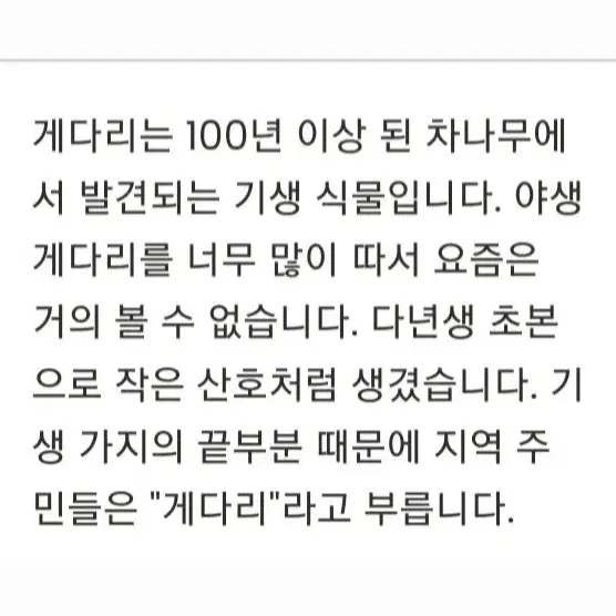 야생방혜각 보이차